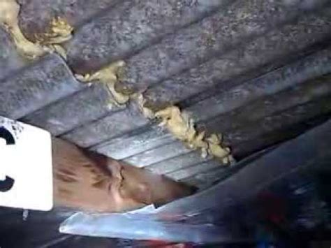 leak in garage ceiling|How to Fix a Leaking Garage Roof 